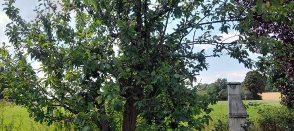 Casa de 5 habitaciónes en Main-Kinzig, Germany No. 238344 21