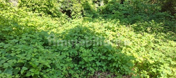 Дом с 3 спальнями в Сант’Омобоно Терме, Италия № 260119 8