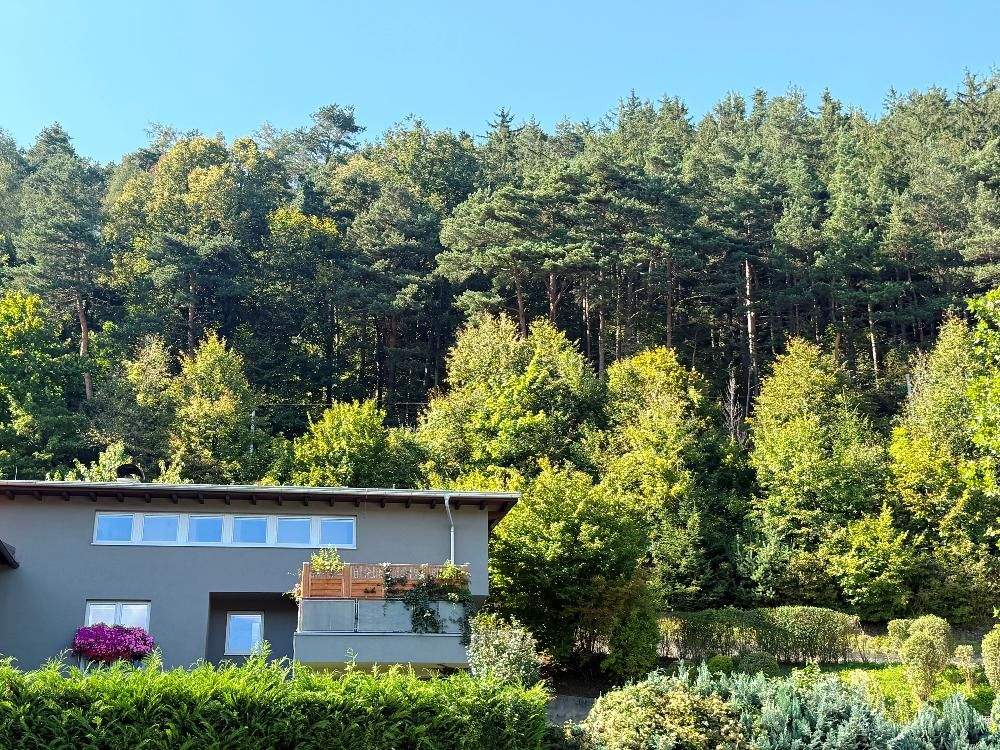 5-salle Appartement à Natters, Austria No. 253701