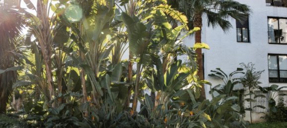 3 غرف نوم شقة في Marbella, Spain رقم 96648 28