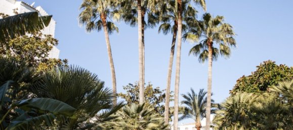 3 غرف نوم شقة في Marbella, Spain رقم 96648 35