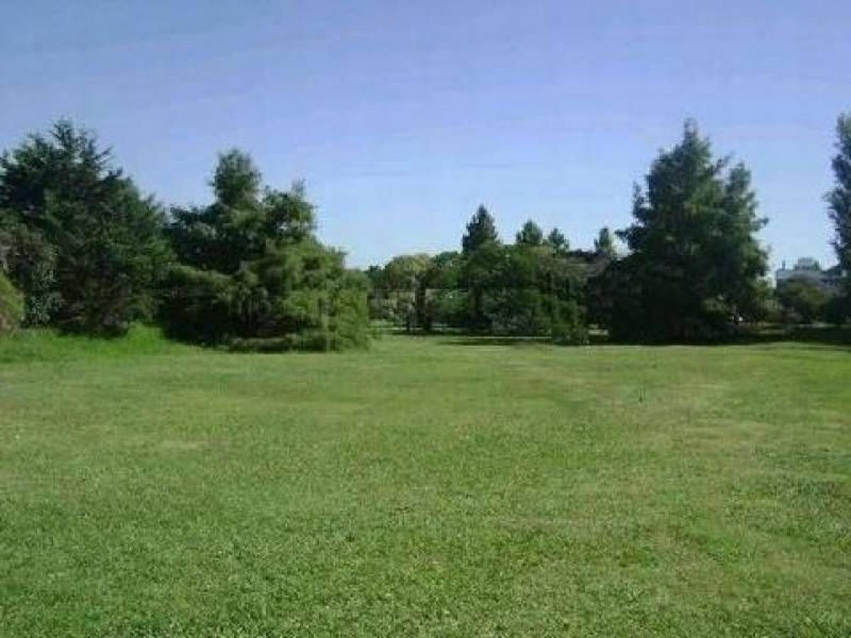  قطعة أرض في Tigre, Argentina رقم 32951