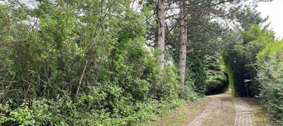 4848m² Land in Bisamberg, Austria No. 164748 15