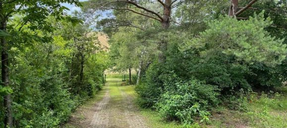 4848m² Land in Bisamberg, Austria No. 164748 16