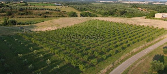 2 bedrooms House in Pietrasanta, Italy No. 314405 2