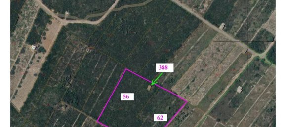 Земельный участок 142586м² в Пантеллерия, Италия № 122207 22