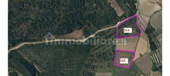 Земельный участок 142586м² в Пантеллерия, Италия № 122207 16