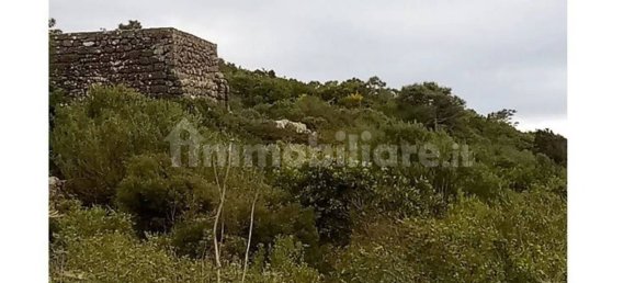 Земельный участок 142586м² в Пантеллерия, Италия № 122207 40