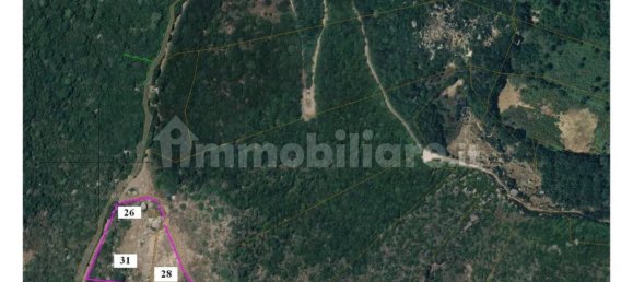 Земельный участок 142586м² в Пантеллерия, Италия № 122207 49