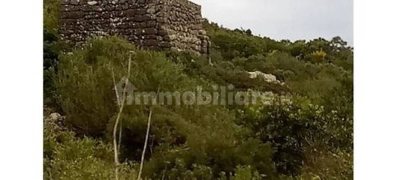 Земельный участок 142586м² в Пантеллерия, Италия № 122207 39