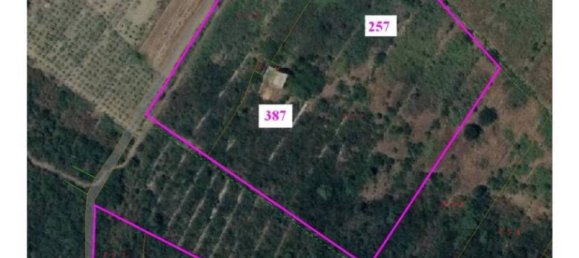 Земельный участок 142586м² в Пантеллерия, Италия № 122207 18