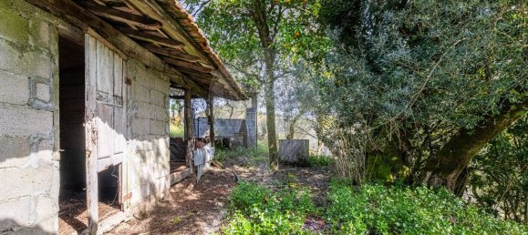 3 bedrooms House in Povoa de Lanhoso, Portugal No. 180239 12