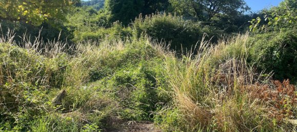 8 rooms House in Maissana, Italy No. 263421 4