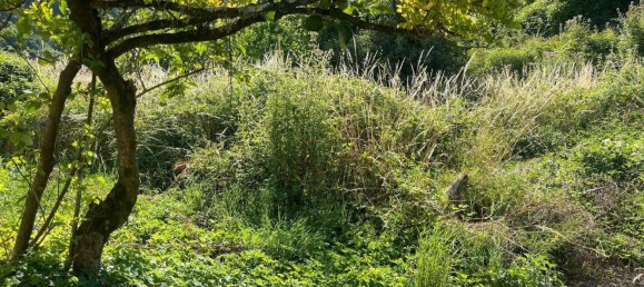 8 rooms House in Maissana, Italy No. 263421 2