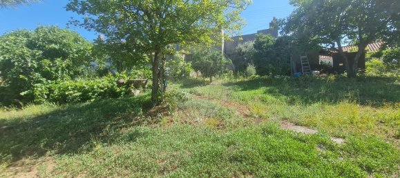 7 bedrooms House in Cardigos, Portugal No. 171184 27