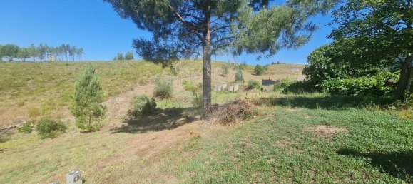 7 bedrooms House in Cardigos, Portugal No. 171184 26