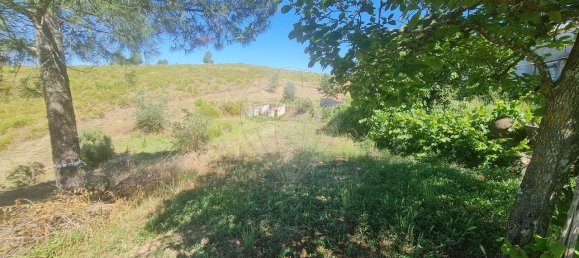 7 bedrooms House in Cardigos, Portugal No. 171184 30