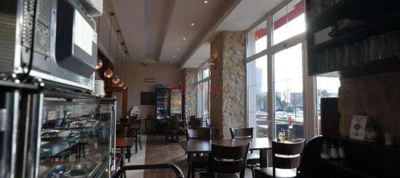 Gebäude in Ludwigshafen am Rhein, Germany 180m², Nr. 319669 13