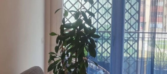 2 rooms Apartment in Lecco, Italy No. 94061 5