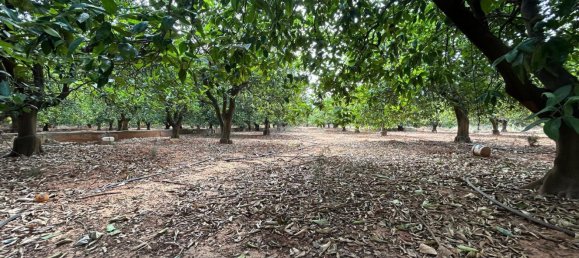  قطعة أرض في Alzira, Spain رقم 160923 4