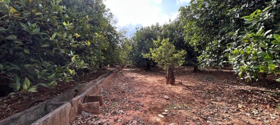  قطعة أرض في Alzira, Spain رقم 160923 5