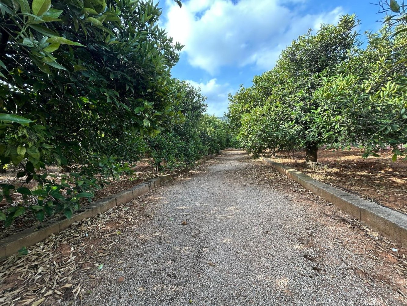  قطعة أرض في Alzira, Spain رقم 160923