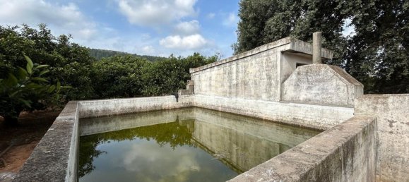  قطعة أرض في Alzira, Spain رقم 160923 2