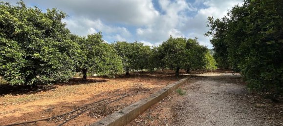  قطعة أرض في Alzira, Spain رقم 160923 3