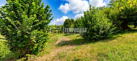 4 rooms Villa in Chieri, Italy No. 274508 8