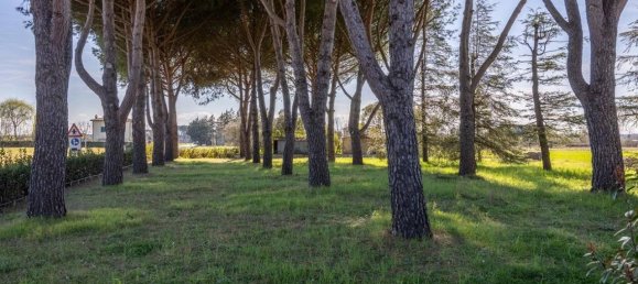 7 rooms House in Cortona, Italy No. 29655 7