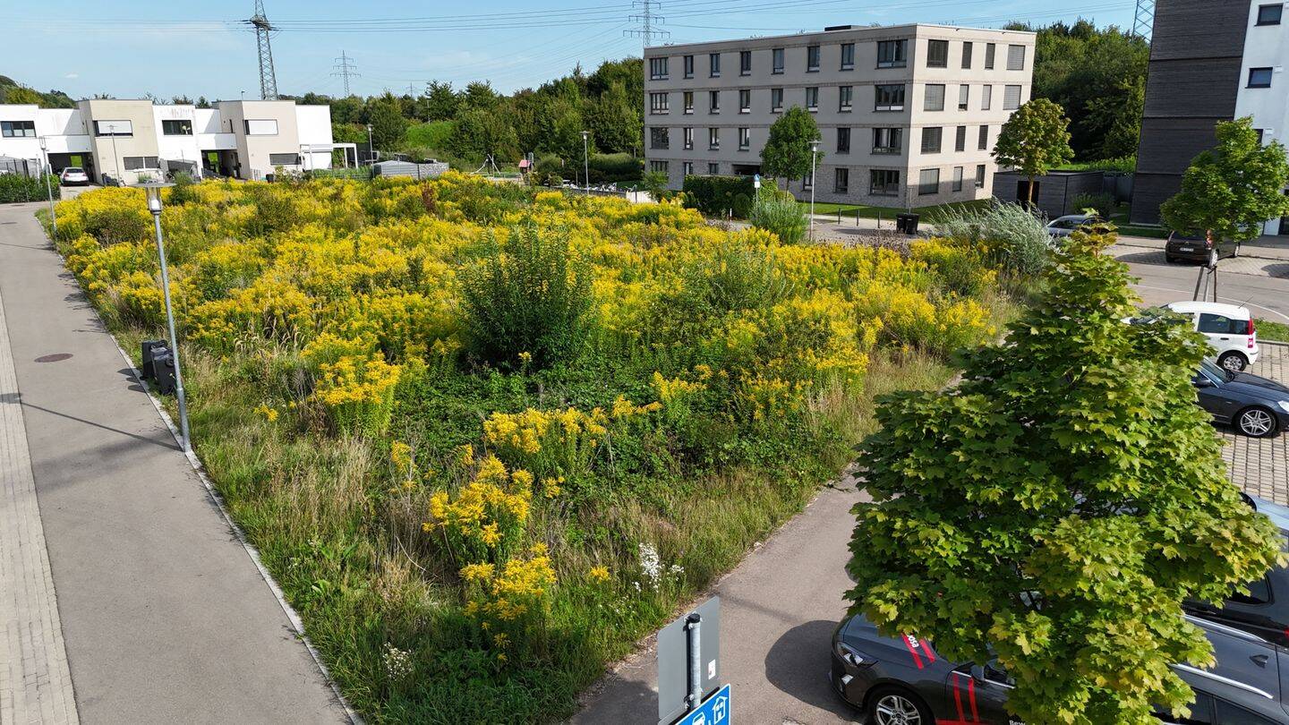  قطعة أرض في Neu-Ulm, Germany رقم 281729