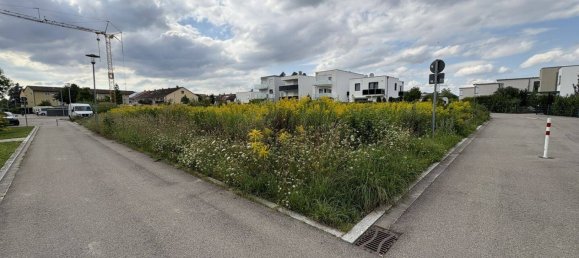  قطعة أرض في Neu-Ulm, Germany رقم 281729 4