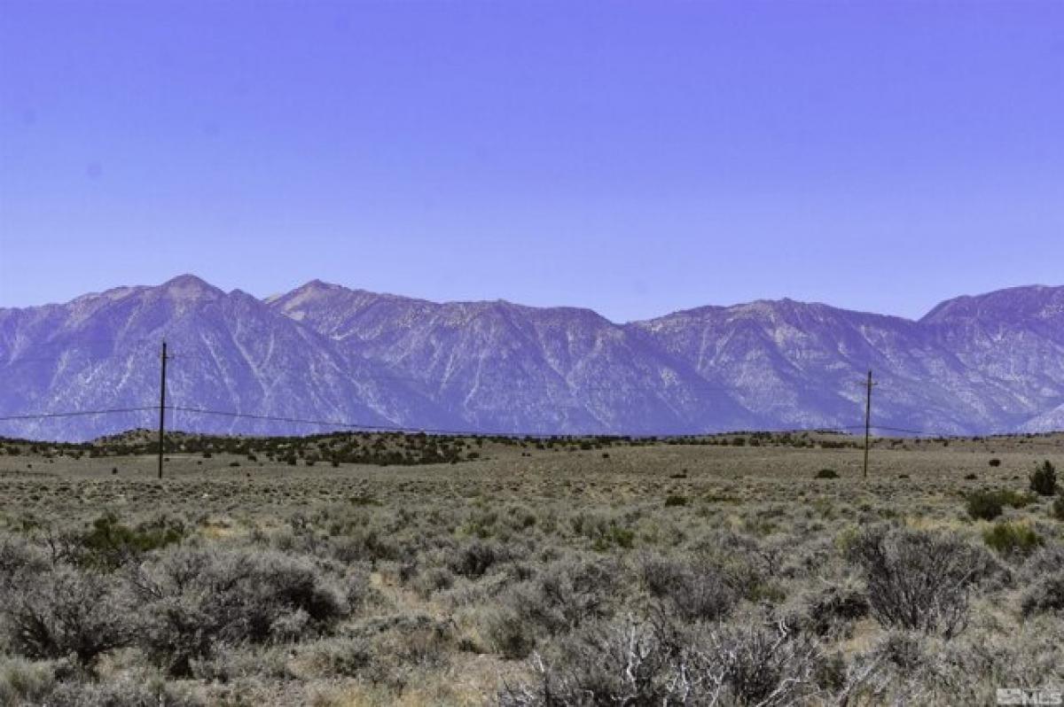  Land in Gardnerville, USA No. 491691