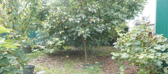 4 rooms Villa in Colorno, Italy No. 230511 36