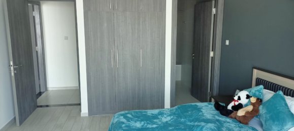 2 bedrooms Apartment in Dubai Science Park, UAE No. 24391 13