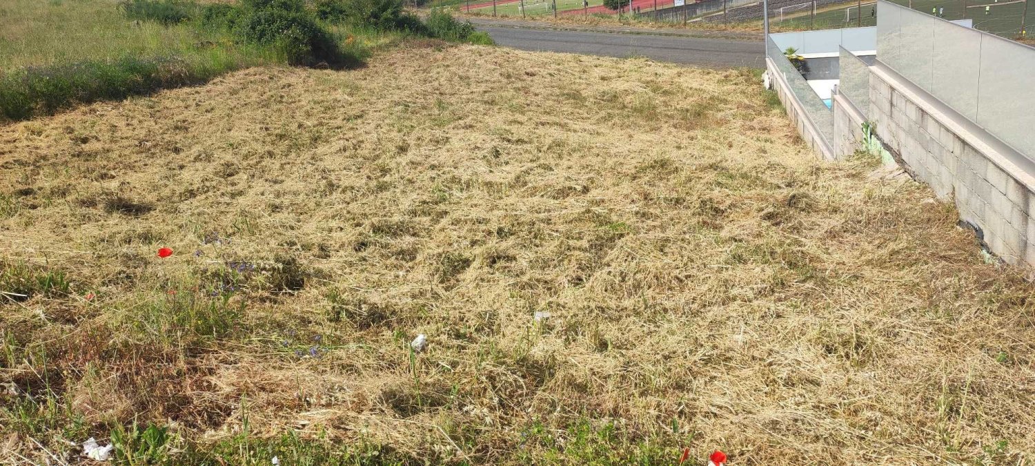  Land in Braganca, Portugal No. 286086