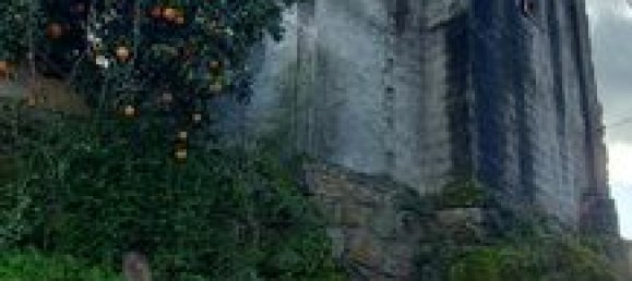 1 bedroom Townhouse in Seixo da Beira, Portugal No. 194351 12