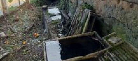 1 bedroom Townhouse in Seixo da Beira, Portugal No. 194351 4