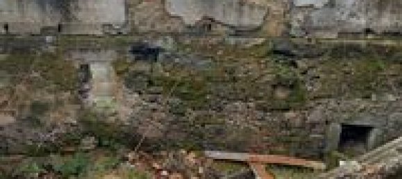 1 bedroom Townhouse in Seixo da Beira, Portugal No. 194351 8