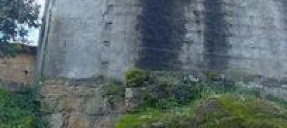 1 bedroom Townhouse in Seixo da Beira, Portugal No. 194351 11