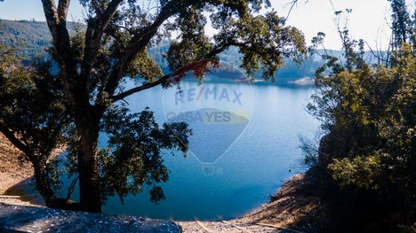 12490m² Land in Santa Comba Dao, Portugal No. 88102