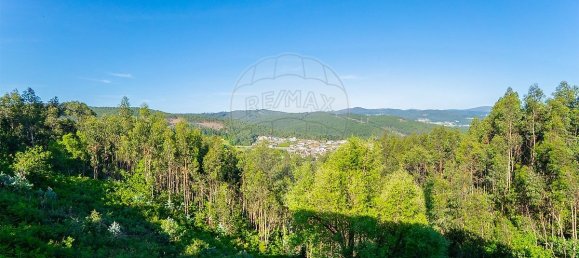 3 Schlafzimmer Haus in Vale de Cambra, Portugal, Nr. 22504 28