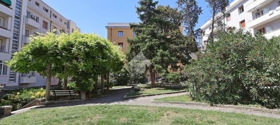 2 rooms Apartment in Trieste, Italy No. 282441 3