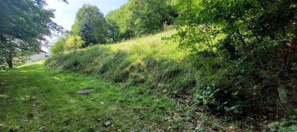  قطعة أرض في Schlusslberg, Austria رقم 26982 4