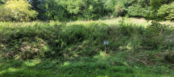  قطعة أرض في Schlusslberg, Austria رقم 26982 2