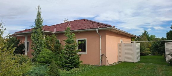 3 chambres Bungalow à Gramatneusiedl, Austria No. 142756 3