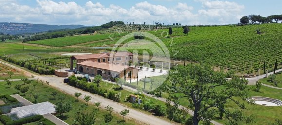 20 Schlafzimmer Villa in Massa Marittima, Italy, Nr. 233391 9