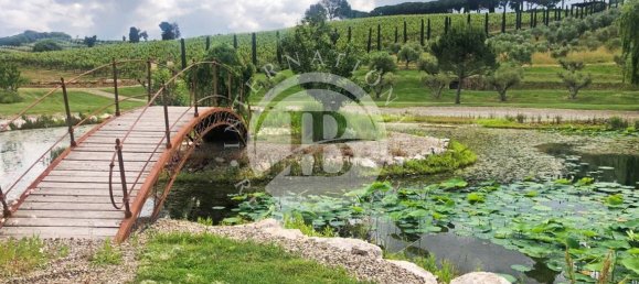 20 Schlafzimmer Villa in Massa Marittima, Italy, Nr. 233391 31