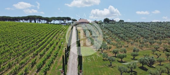 20 Schlafzimmer Villa in Massa Marittima, Italy, Nr. 233391 11