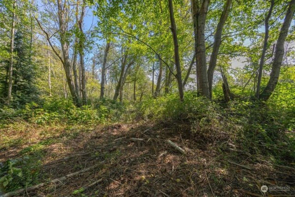 Terreno en Ferndale, USA No. 475790